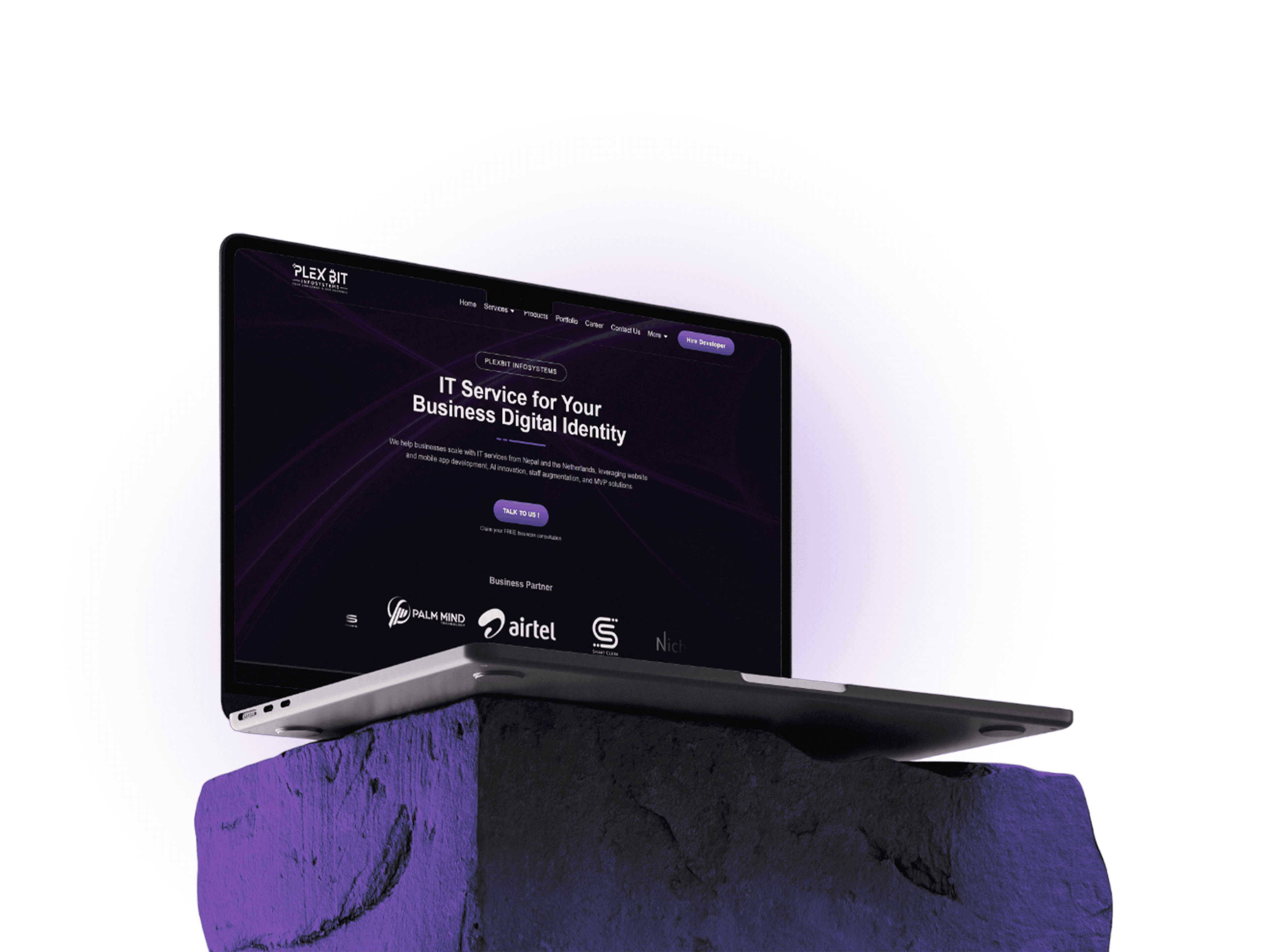 Website development services in Nepal and the Netherlands - Plex Bit Infosystems